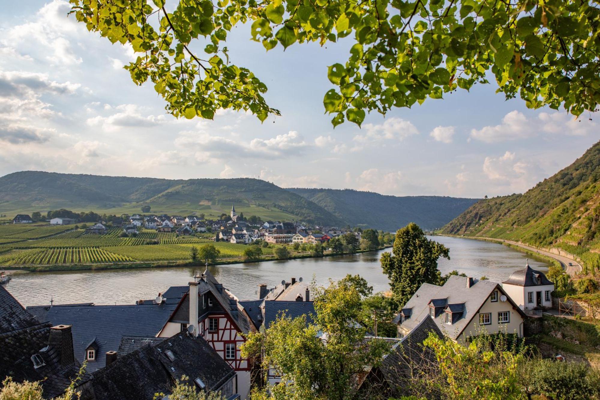 Hotel Gute Quelle Beilstein (Rhineland-Palatinate) Exterior foto